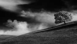 CRW_9860
